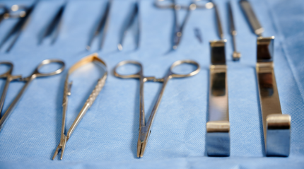 The Growing Popularity of Plastic Surgery for Obesity, Nose and Female Breast